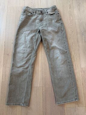Goodfellow & Co Relaxed Pants - Olive/Tan Size 29 X 30